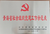 青海省社会组织党建工作示范点