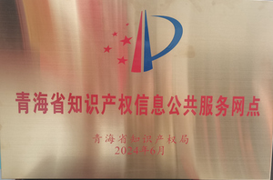 青海省知识产权信息公共服务网点