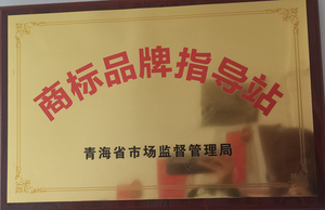 商标品牌指导站